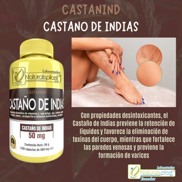 Castaño de Indias 100 Cápsulas: Piernas Ligeras y Circulación Óptima ✨ - Imagen 2