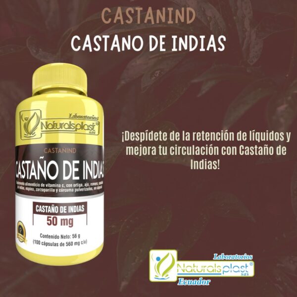 Castaño de Indias 100 Cápsulas: Piernas Ligeras y Circulación Óptima ✨ - Imagen 3