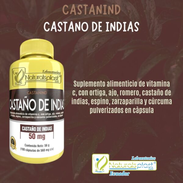 Castaño de Indias 100 Cápsulas: Piernas Ligeras y Circulación Óptima ✨ - Imagen 4