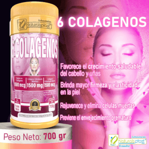 6 Colágenos 700gr