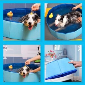 Piscina plegable portatil para mascotas